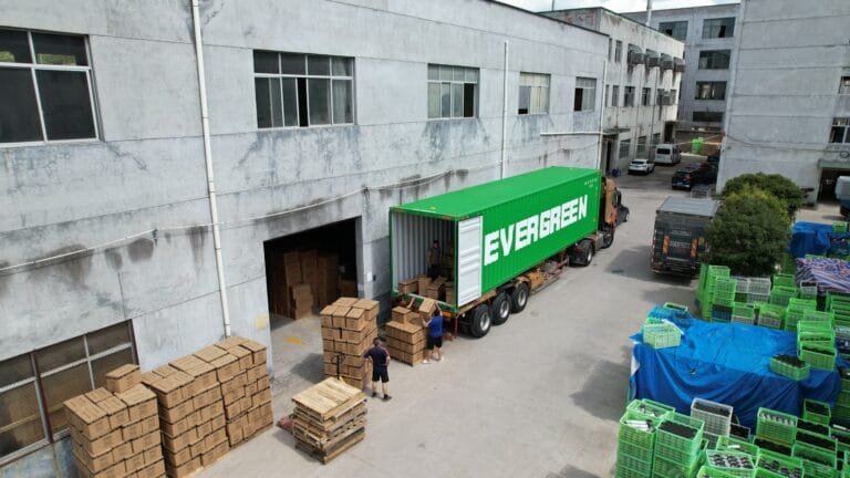 Loading & Shipping