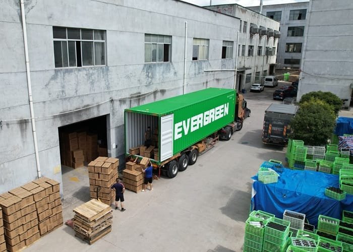 Loading & Shipping