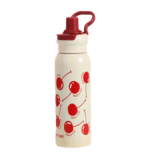 24 OZ Stainless Steel Water Bottle